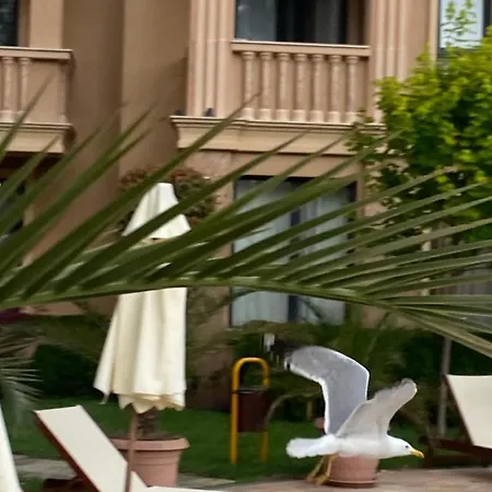 Aphrodite Gardens D208, * Slăntjev Brjag
