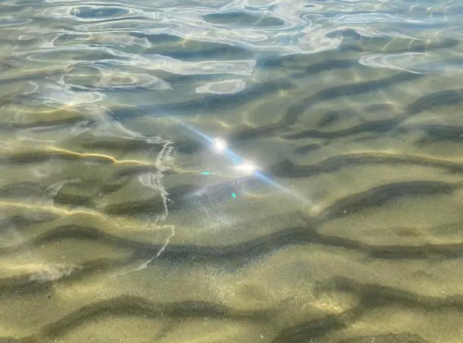 Appartamento Aphrodite Gardens D208,