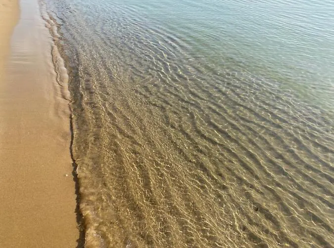 Aphrodite Gardens D208, Appartamento Sunny Beach