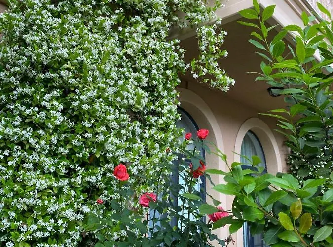 Aphrodite Gardens D208, Appartamento *