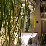 Aphrodite Gardens D208, * Napospart